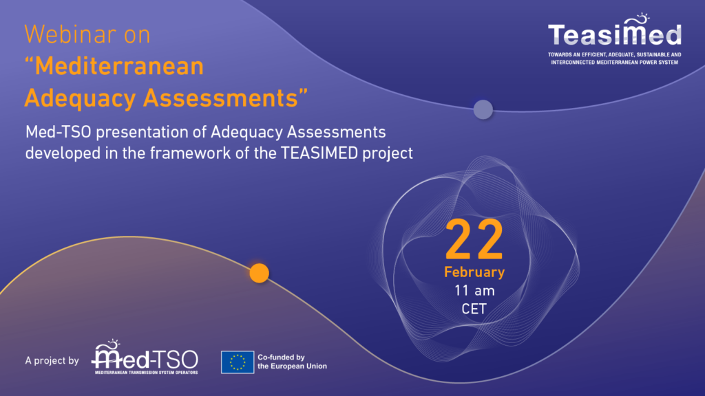MEDTSO_20_6 Mediterranean Adequacy Assessments_Tw