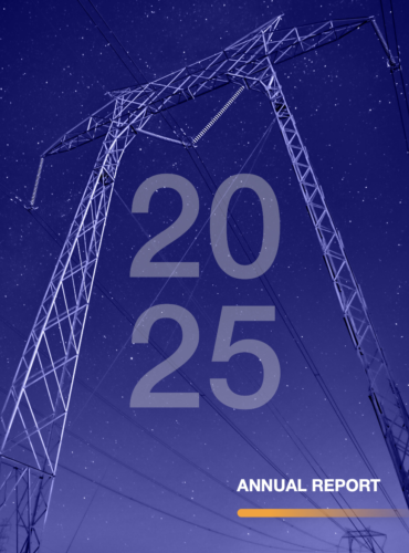 Med-TSO Annual Eeport 2025